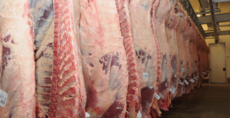 El ministro de Ganadera, Agricultura y Pesca Fernando Mattos anunci la reapertura del mercado de Malasia para la carne uruguaya