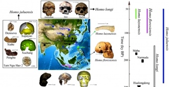 Informan acerca de una posible nueva especie humana revelada en Asia