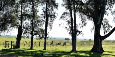 Se present nueva edicin del Fondo Concursable para el fortalecimiento de la oferta de turismo en espacios rurales y naturales