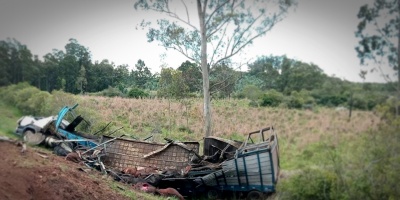 Un camin que transportaba ganado despist y volc; su conductor falleci en el lugar