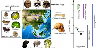 Informan acerca de una posible nueva especie humana revelada en Asia