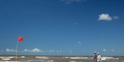 Canelones monitorea sus playas luego que aparecieran floraciones de cianobacterias en la costa de Montevideo