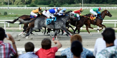 13 caballos se disputan la corona del Gran Premio Ramrez 