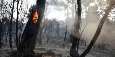 Si bien la cantidad de incendios es menor respecto a la temporada anterior, desde Bomberos piden que se extremen los cuidados 