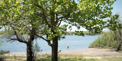 Contina la bsqueda de un nio de 7 aos desaparecido en aguas del Ro Negro