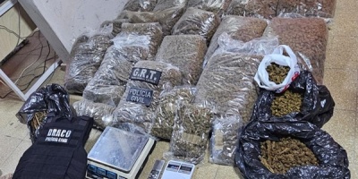 Incautaron 42.067 kilos de marihuana