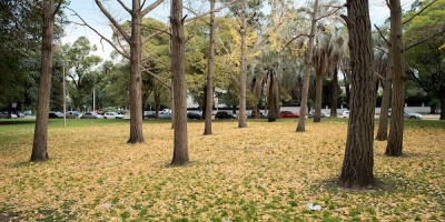 Otoo: Altas temperaturas hasta mayo, luego das muy fros